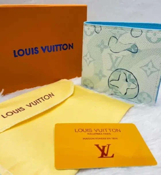 Louis Vuitton Wallet - 2 first copy