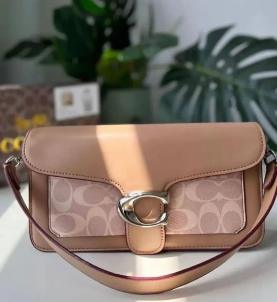 Coach Ch Tabby Bag first copy
