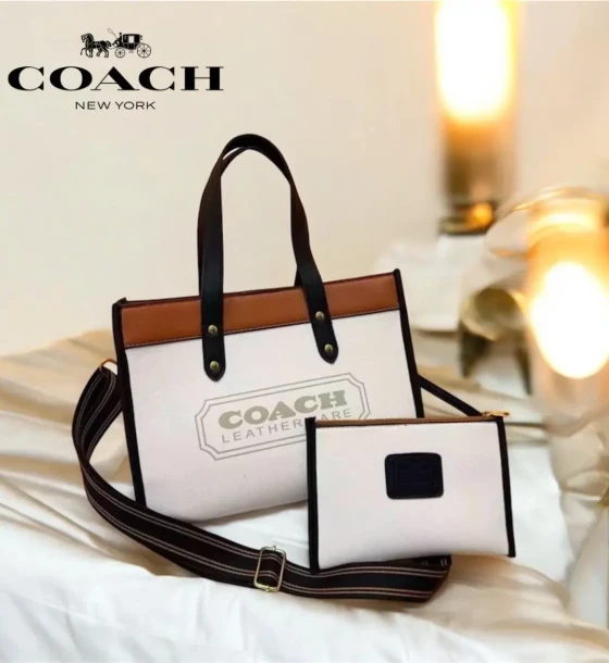 Coach Chalk Multi Badge Tote Bag first copy