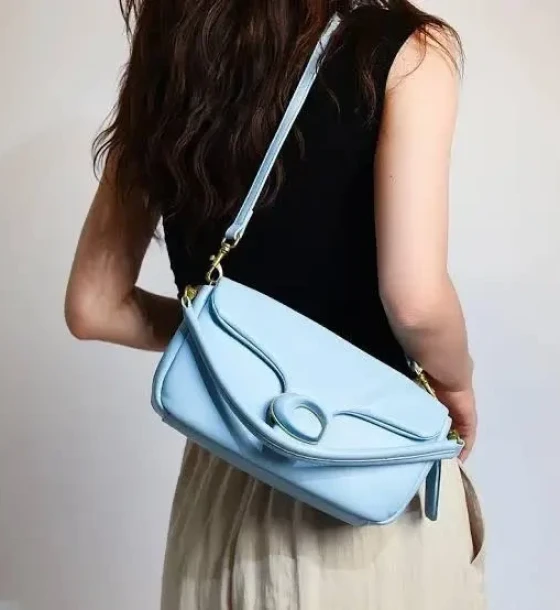 Coach Pillow Tabby Bag first copy