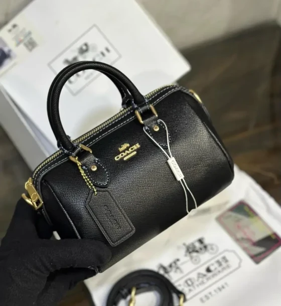 Louis Vuitton Small Speedy Bag first copy