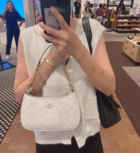 Michael Kors Ch Teri Bag first copy