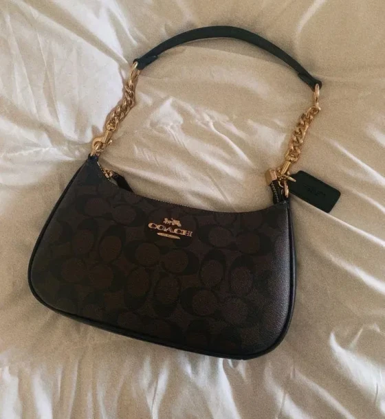 Michael Kors Ch Teri Bag first copy