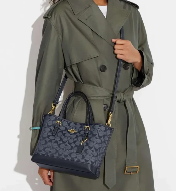Michael Kors Mollie Tote Bag first copy