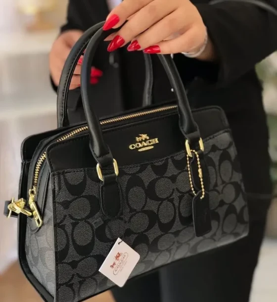 Coach Mini Darcie Carryall Bag first copy