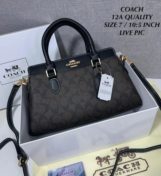 Coach Mini Darcie Carryall Bag first copy