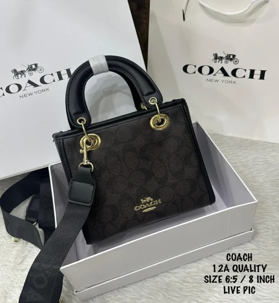 Coach Signature Handbag first copy
