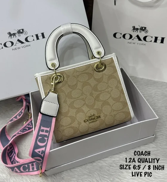 Coach Signature Handbag first copy