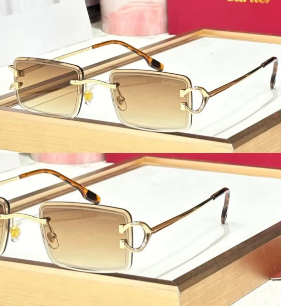 Cartier C9722r Sunglasses first copy