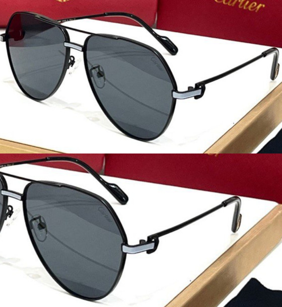 Cartier 11733 Sunglasses first copy