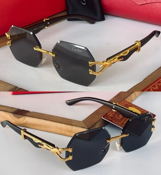 Cartier 11764 Sunglasses first copy