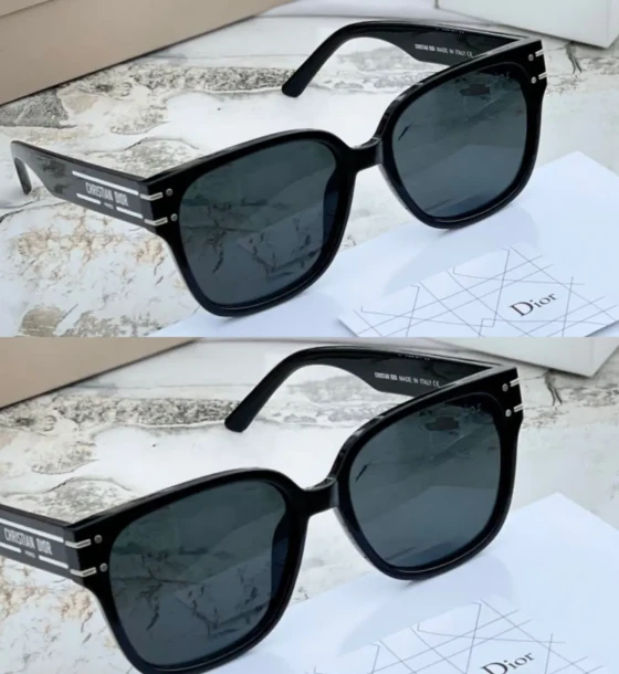Dior C'd Sunglasses - 10 first copy
