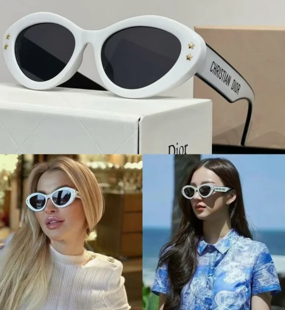 Dior C'd Sunglasses - 11 first copy