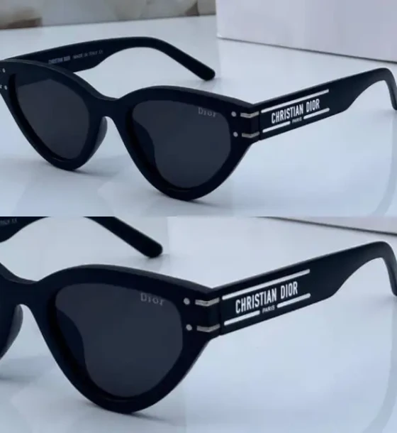 Dior Cd Sunglasses - 25 first copy