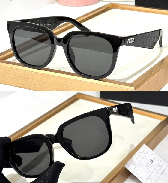 Dior D21r Sunglasses first copy