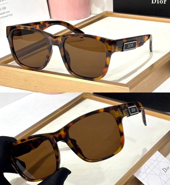 Dior D29r Sunglasses first copy