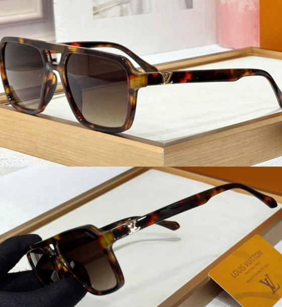 Louis Vuitton L2684v Sunglasses first copy