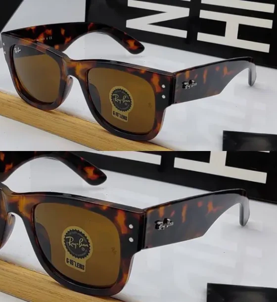 Ray-Ban Wayfarer Rk Sunglasses first copy