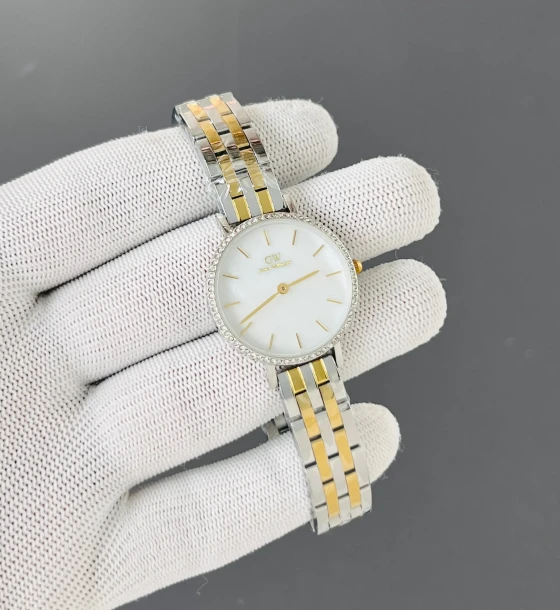 DW PETITE LUMINE BEZEL 5-LINK ARCTIC first copy