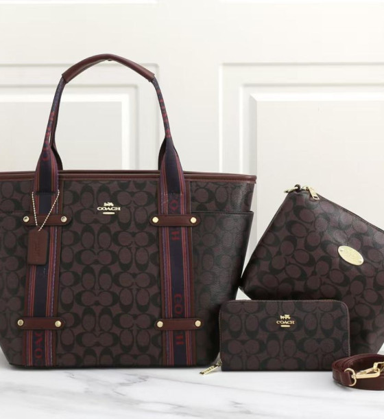 Coach TOTE BAG WITH SLING & WALLET first copy