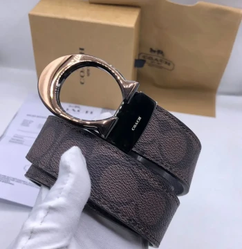 Louis Vuitton Men's Reversible Belt first copy