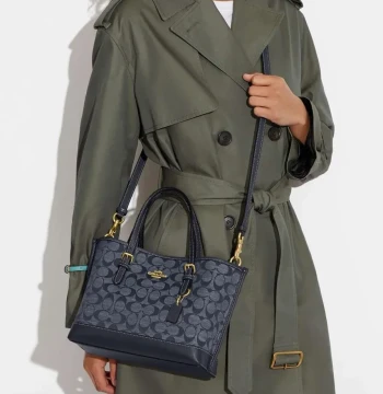 Michael Kors Mollie Tote Bag first copy