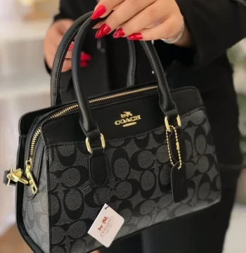 Coach Mini Darcie Carryall Bag first copy