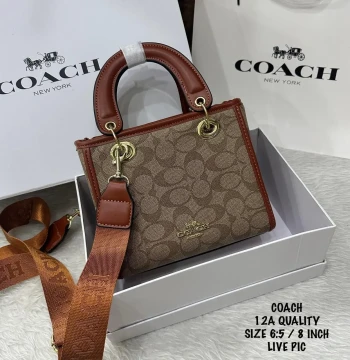 Coach Signature Handbag first copy