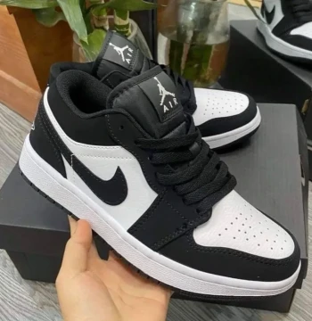 Jordan Low 'panda' In Stock first copy