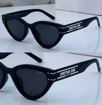 Dior Cd Sunglasses - 25 first copy