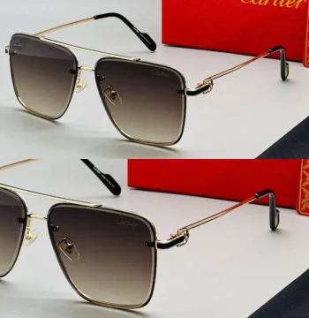 Cartier C'r Sunglasses - 14 first copy