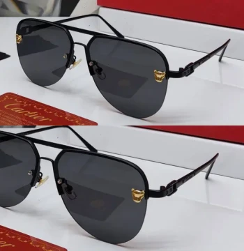 Cartier C'r Sunglasses - 16 first copy