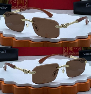 Cartier Cr062 Sunglasses first copy
