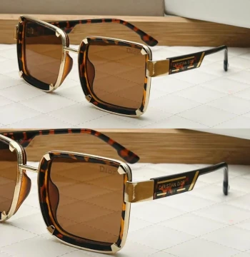 Dior 11813 Sunglasses first copy