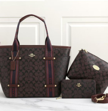 Coach TOTE BAG WITH SLING & WALLET first copy