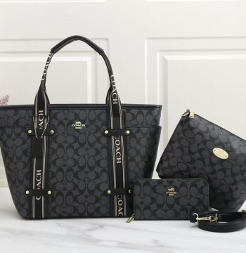 Coach TOTE BAG WITH SLING & WALLET first copy